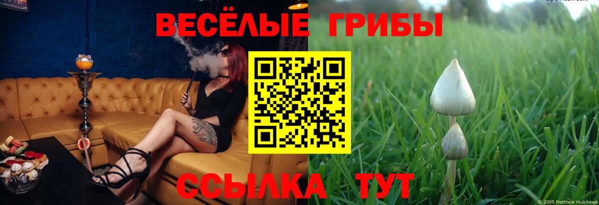 Галлюциногенные грибы MAGIC MUSHROOMS  Вход с VPN  купить наркотики сайты  Трёхгорный 